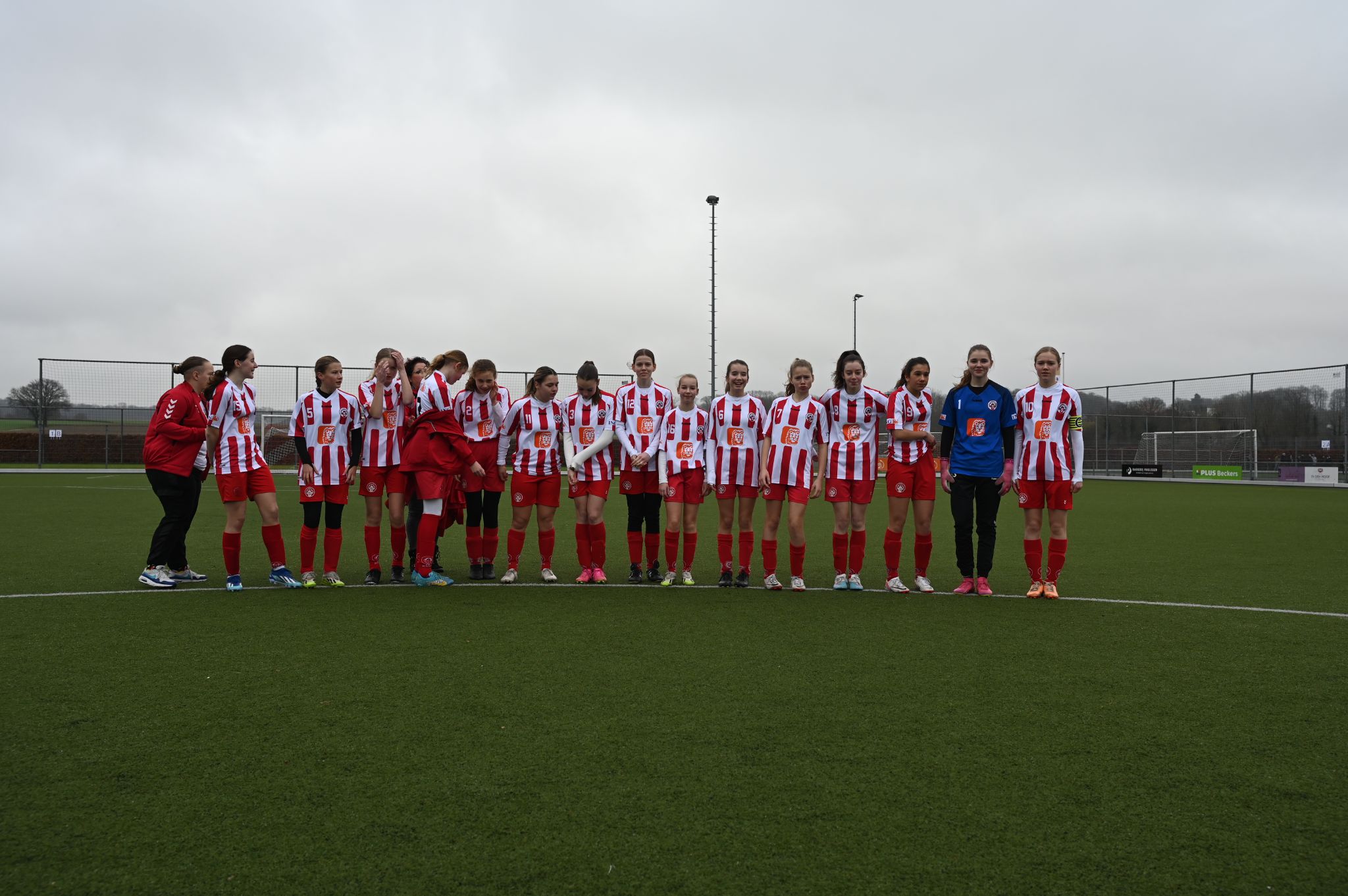 Scharn - Mierlo Hout