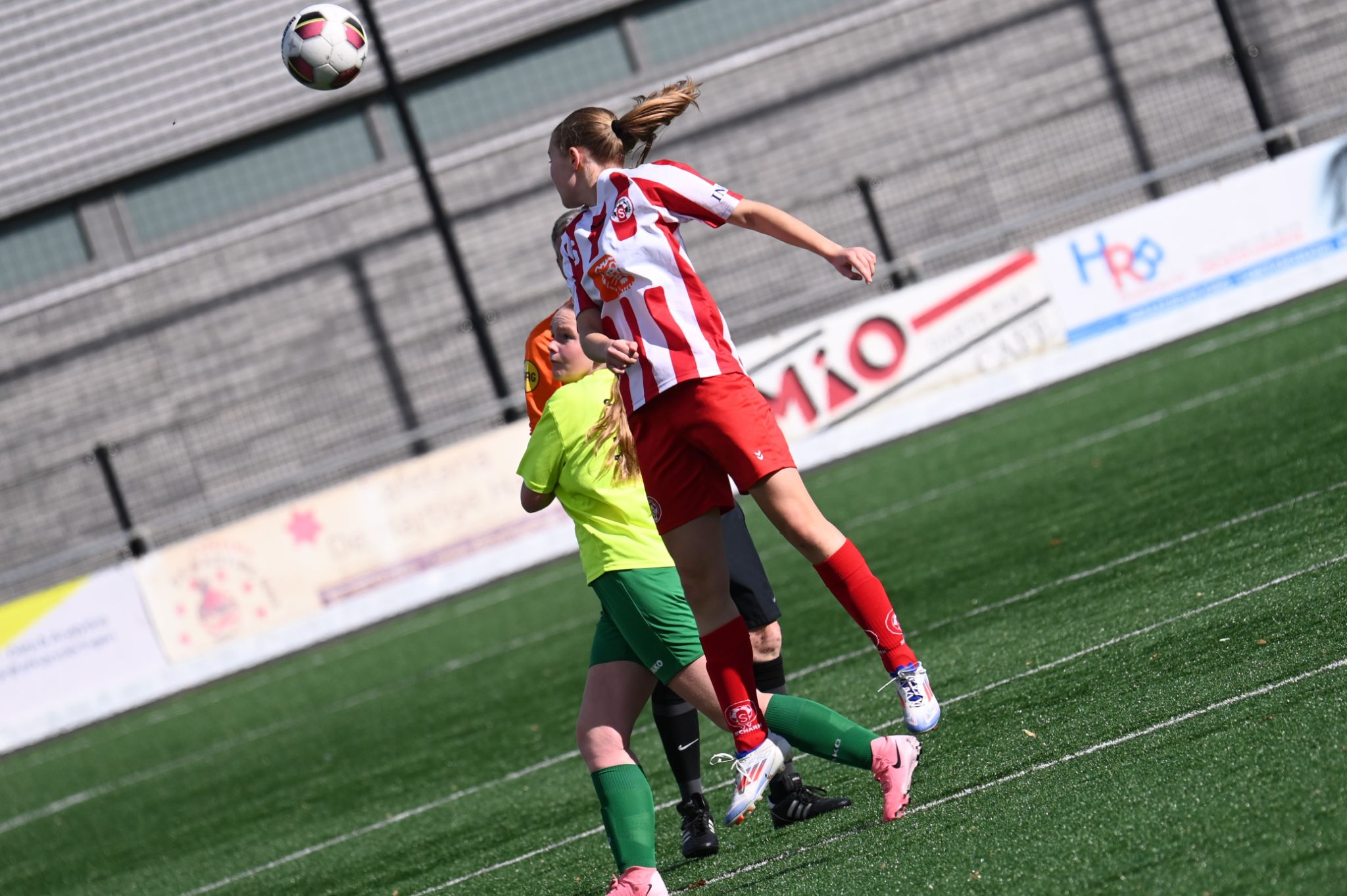 Groene Ster - Scharn